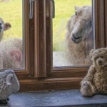 View from Hafod holiday cottage